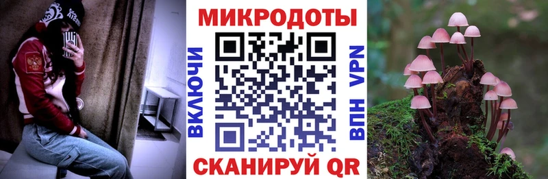 Псилоцибиновые грибы Cubensis  Купить закладки  Чкаловск 
